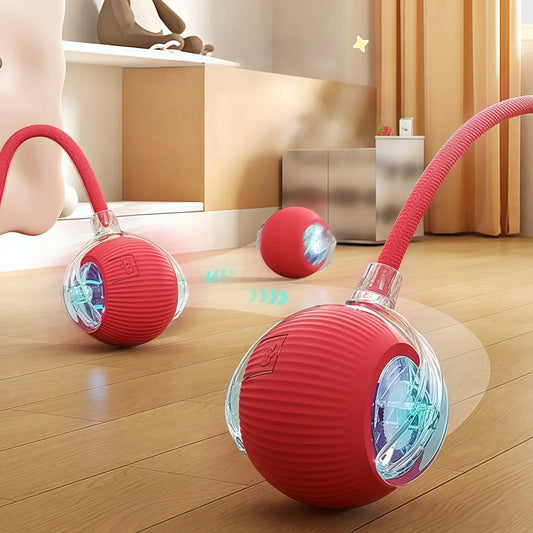 Multiluxi Katze Interaktiver Ball