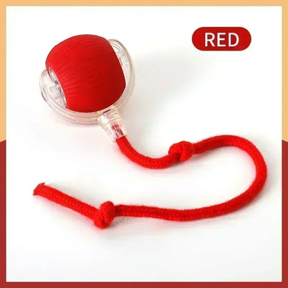 Multiluxi Katze Interaktiver Ball